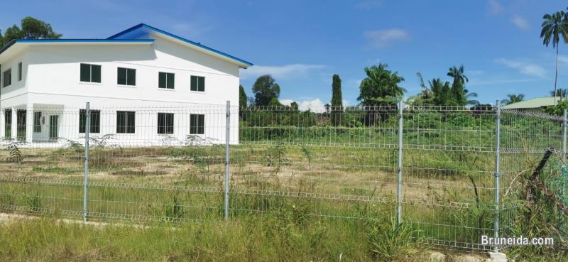 HFR-265   DETACHED HOUSE FOR RENT @ SERASA - image 3