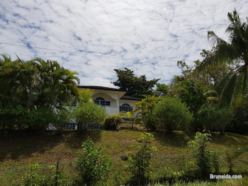 HFR-266  DOUBLE-STOREY DETACHED HOUSE FOR RENT @ SG TILONG - image 2