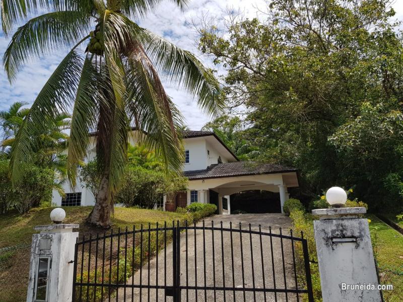 HFR-266  DOUBLE-STOREY DETACHED HOUSE FOR RENT @ SG TILONG - image 3