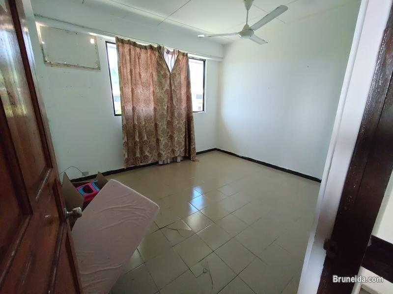 SEMI DETACHED HOUSE FOR RENT $550 PER MONTH AT RIMBA - image 4
