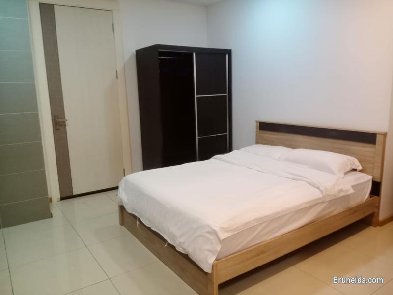 STUDIO APARTMENT FOR RENT - image 2