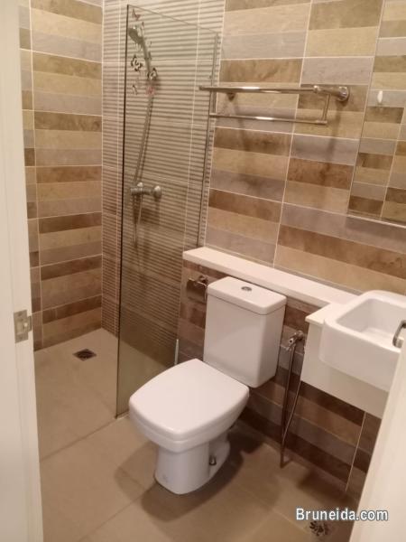 STUDIO APARTMENT FOR RENT - image 6
