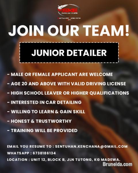 Junior Detailer - image 1