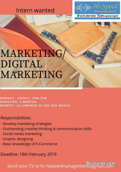 Marketing / Digital Marketing (Internship) - image 1