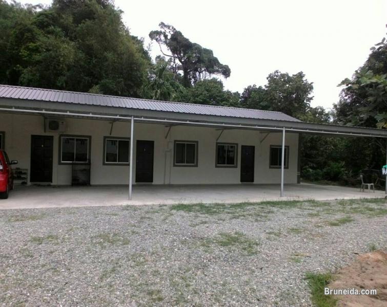 RUMAH UNTUK DISEWA - image 1