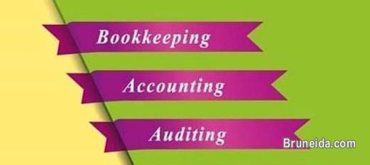 Accounting and Bookkeeping Services - image 1