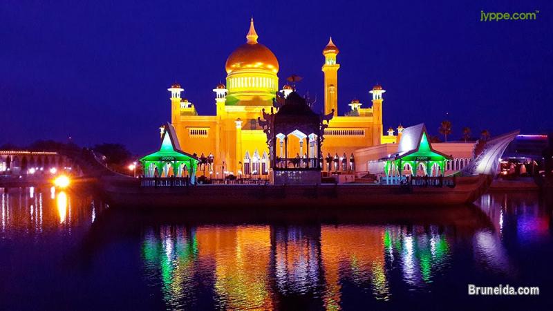 TOURISM FOR BRUNEI INCLUDING VISIT VISA FOR ALL COUNTRIES - image 1