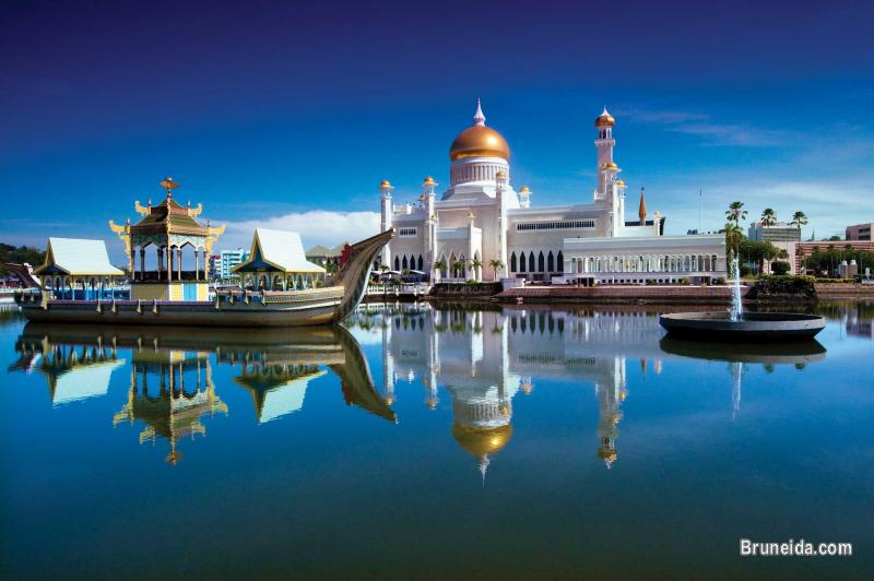 TOURISM FOR BRUNEI INCLUDING VISIT VISA FOR ALL COUNTRIES - image 2