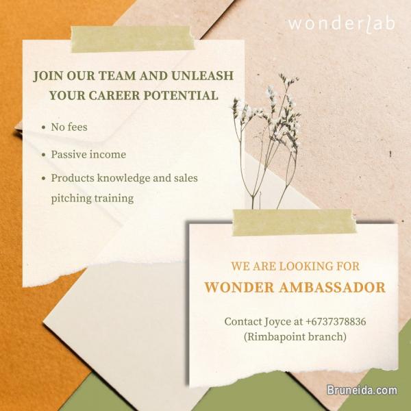 Sales Executive - image 1