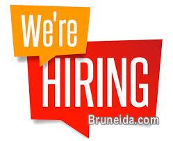 Vacancy for Customer Service Officer - image 1