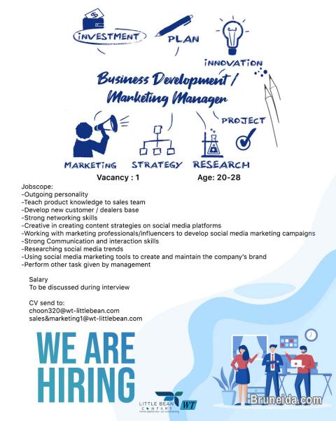 Business Development / Marketing Manager - image 1