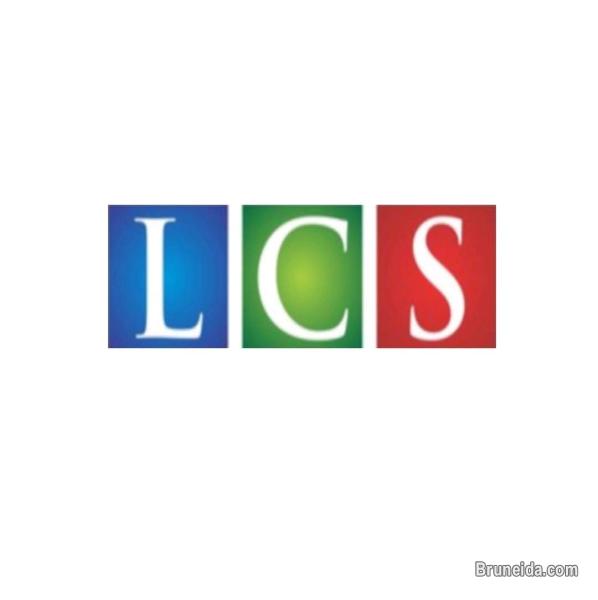 Company License Formation & Accounting Service - image 1