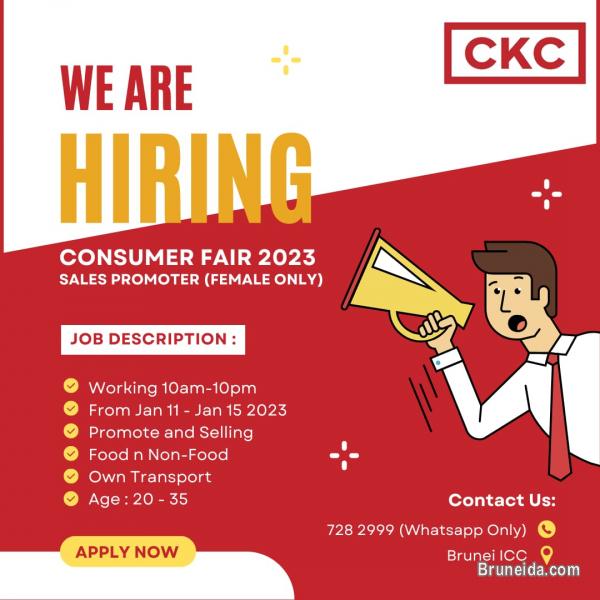 Sales Promoter (Part Time - Female Only) - image 1