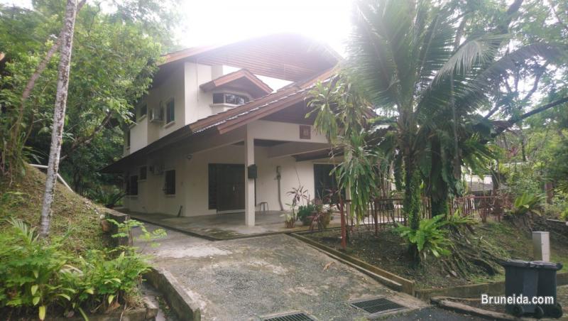 Detatched House For Rent - image 1