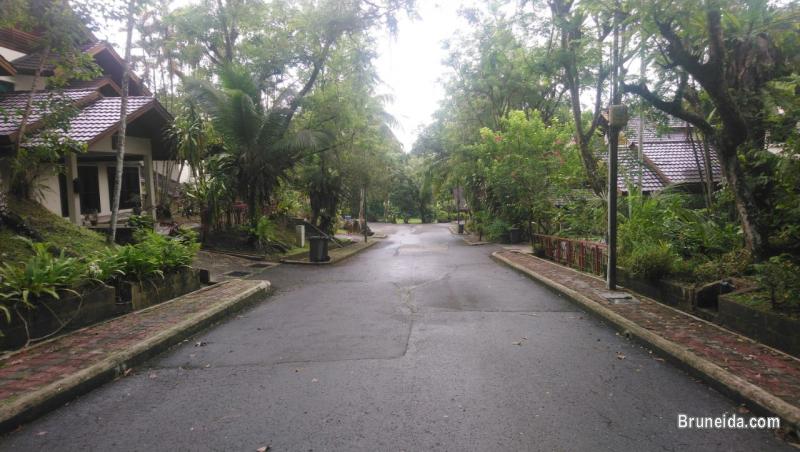 Detatched House For Rent - image 2