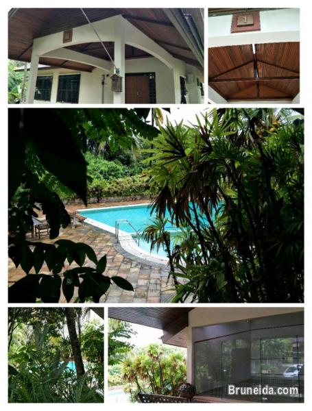 Detatched House For Rent - image 3