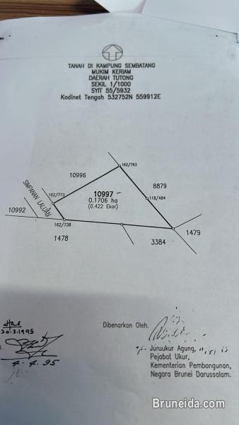 TANAH UNTUK DIJUAL - image 2