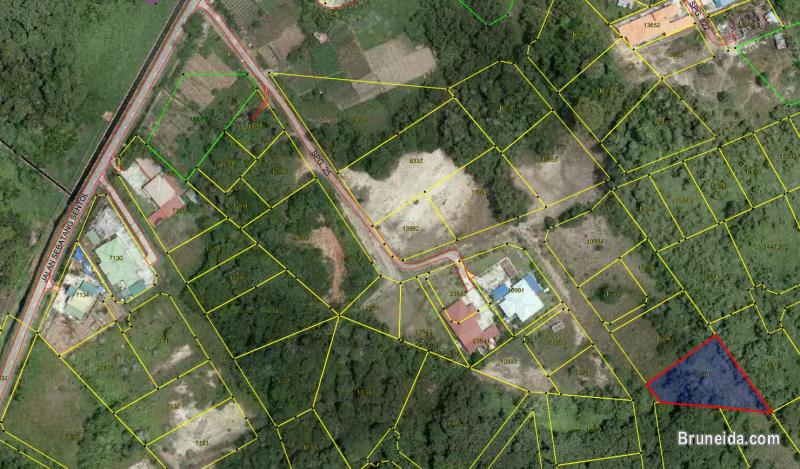 TANAH UNTUK DIJUAL - image 3