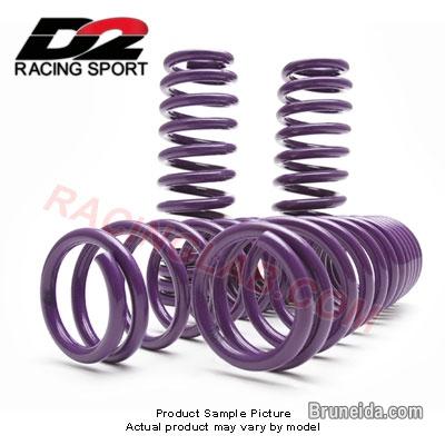 Picture of D2 pro series lowering springs