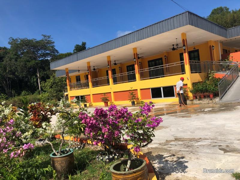 Open area and alfresco for rent. Good for cafe/restaurant - image 2