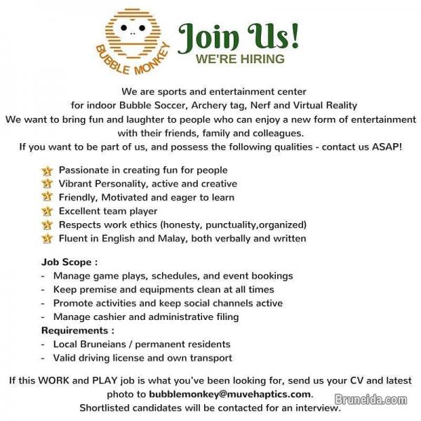 Event & Games coordinator - image 1