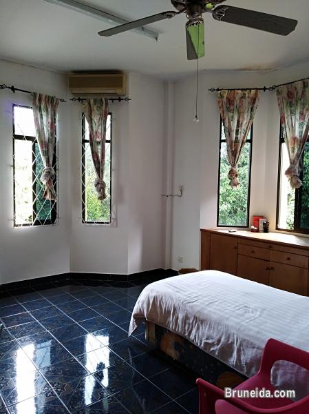 Looking for female housemates - image 2