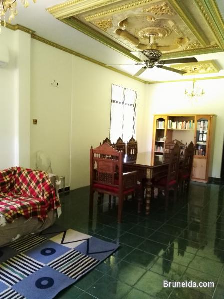 Looking for female housemates - image 5