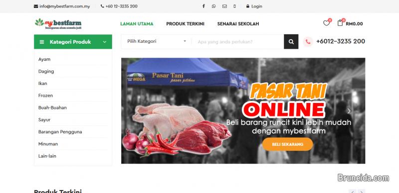 Web Design Services - image 2