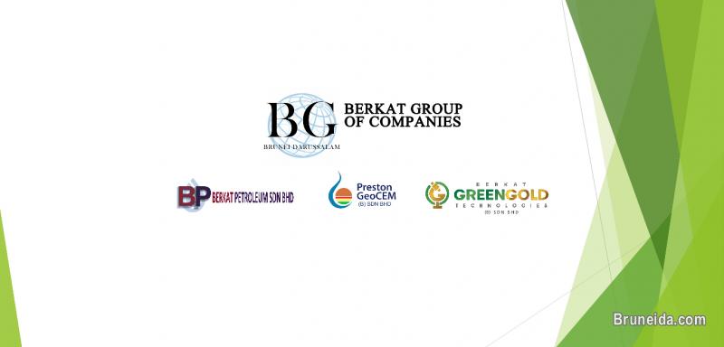 Web Design Services - image 4