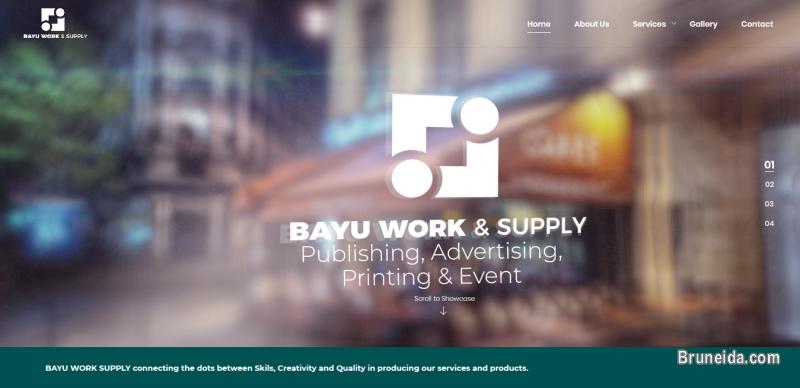 Professional Web Design - image 4