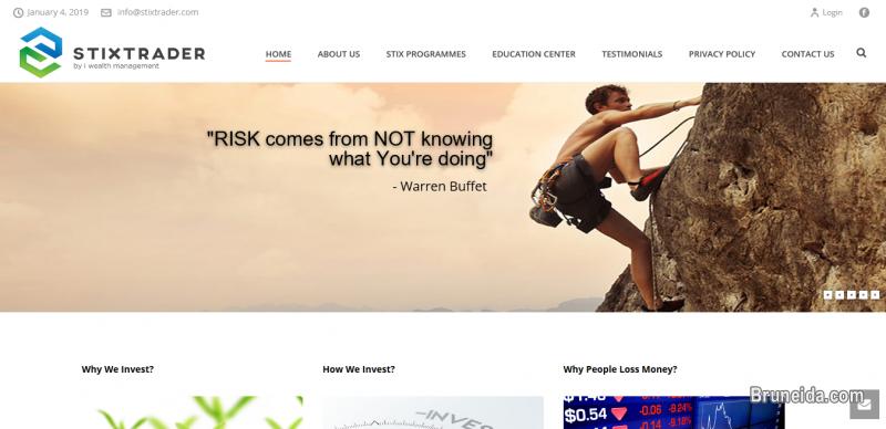 Professional Web Design - image 2