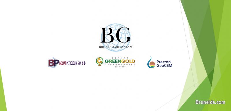 Professional Web Design - image 3