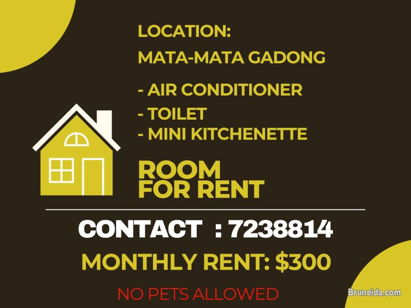 Room for rent - image 1