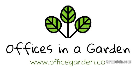 Pictures of Business Address Promo (valid until 31st May 2020 only!)