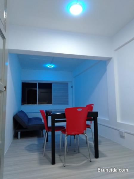 Office Suite 2: Co. Circle - image 3