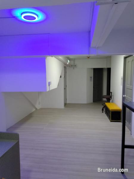 Office Suite 2: Co. Circle - image 4