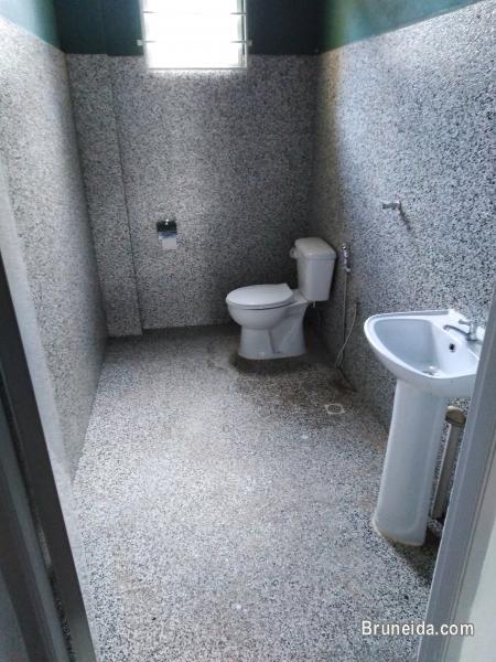 Whole Unit for Rent - image 7