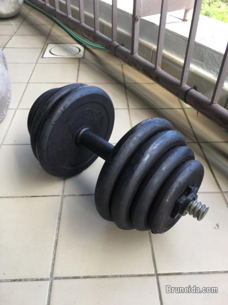 Dumbbell - image 2
