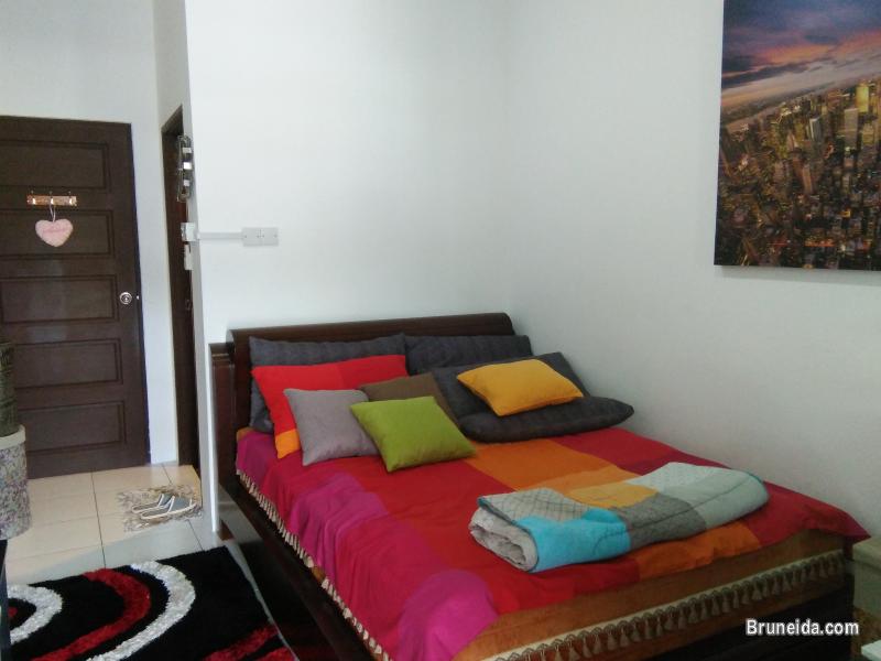 Suite 102 - Co. Living Suite, Rimba - image 12