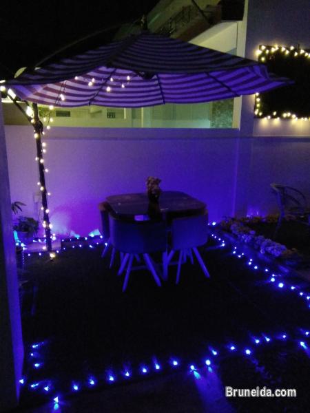 Suite 102 - Co. Living Suite, Rimba - image 2