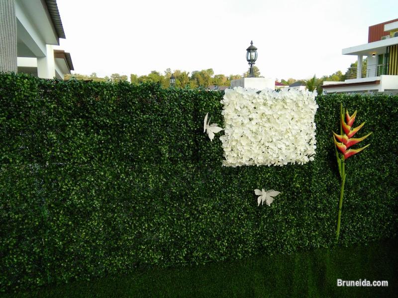 Suite 102 - Co. Living Suite, Rimba - image 3