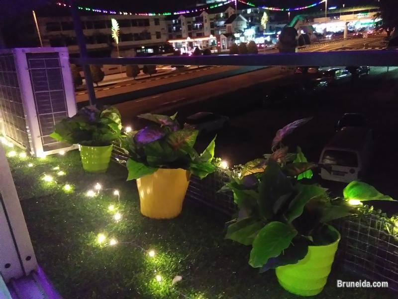 DORMITORY SINGLE BED - image 10