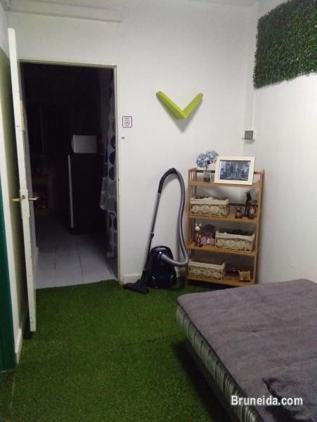 DORMITORY SINGLE BED - image 11