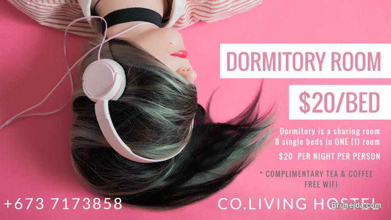 DORMITORY SINGLE BED - image 1