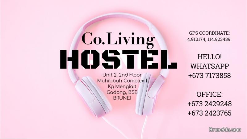 DORMITORY SINGLE BED - image 2