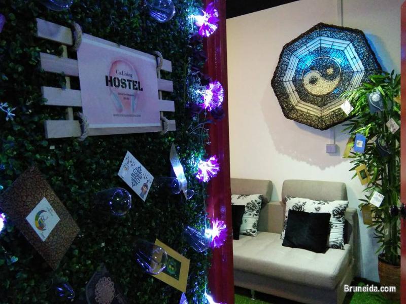 DORMITORY SINGLE BED - image 4