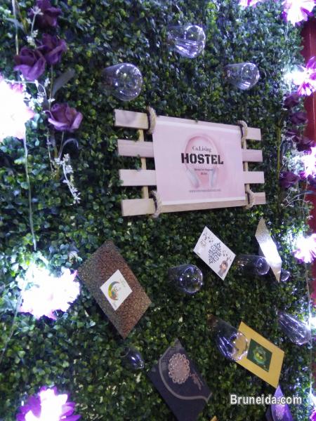 DORMITORY SINGLE BED - image 5