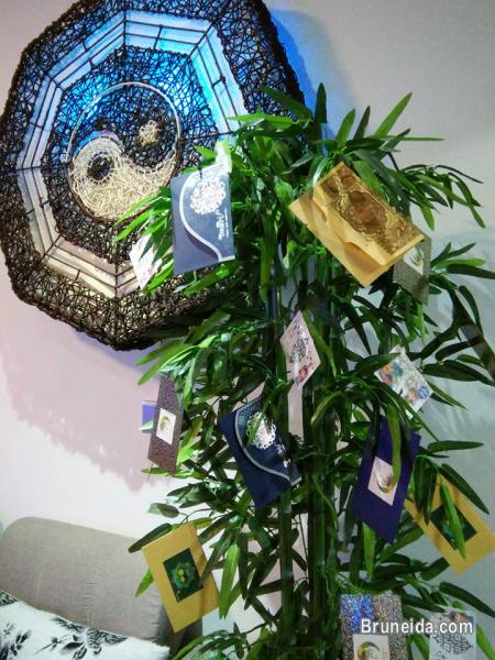 DORMITORY SINGLE BED - image 6