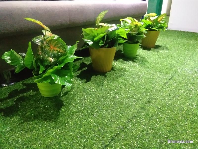 DORMITORY SINGLE BED - image 8