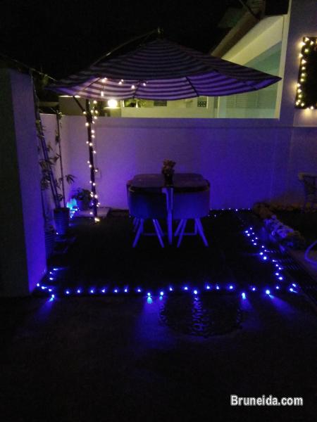 Suite 102 - Co. Living Suite, Rimba - image 9